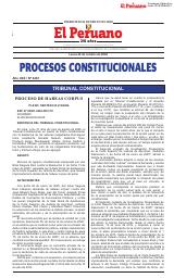 Procesos Constitucionales