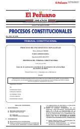 Procesos Constitucionales